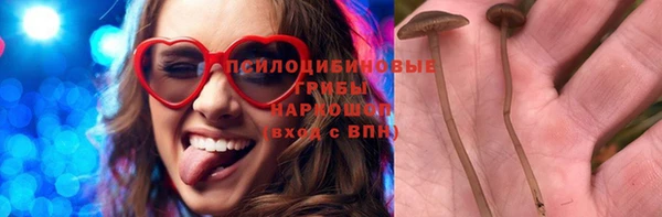 PSILOCYBIN Магас
