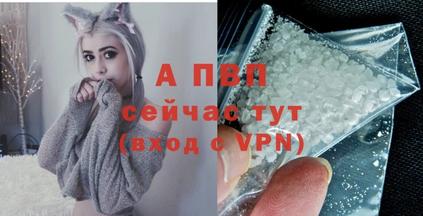 PSILOCYBIN Магас