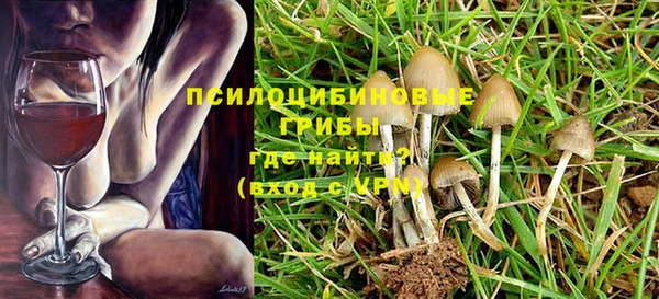 PSILOCYBIN Магас