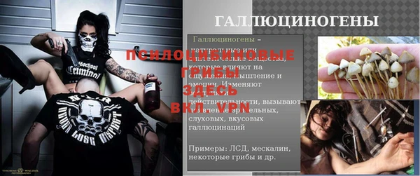не бодяженный Магадан