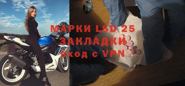 PSILOCYBIN Магас
