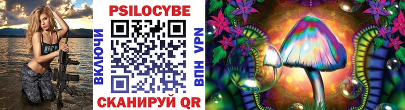 Псилоцибиновые грибы Psilocybine cubensis Севастополь